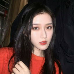 灰烬战线mumu版下载