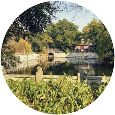 无尽神域果盘最新版下载